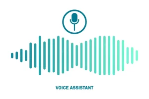 Voice Assistance